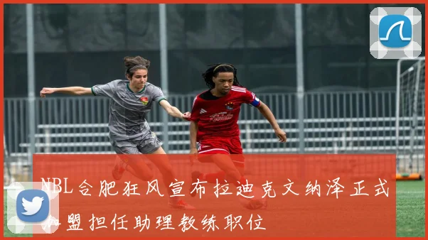 NBL合肥狂风宣布拉迪克文纳泽正式加盟担任助理教练职位