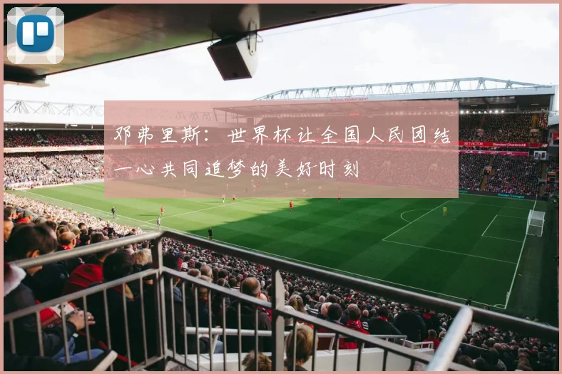 邓弗里斯：世界杯让全国人民团结一心共同追梦的美好时刻