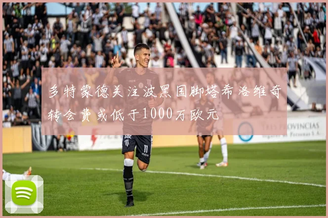 多特蒙德关注波黑国脚塔希洛维奇转会费或低于1000万欧元