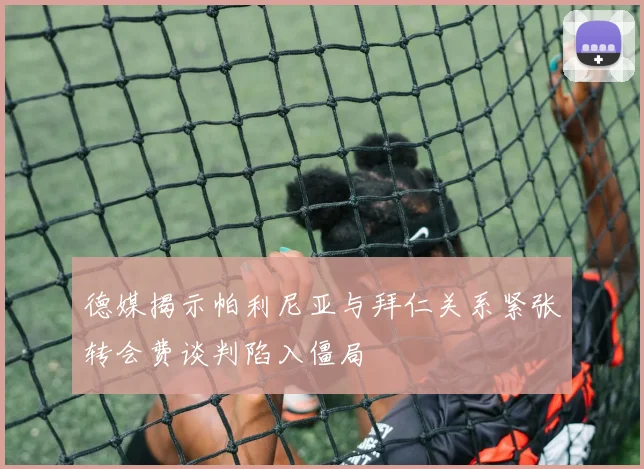 德媒揭示帕利尼亚与拜仁关系紧张转会费谈判陷入僵局